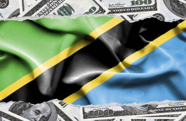 Ulusal çapta Amerikan para biriminin banknotlarıyla finansal konsept 