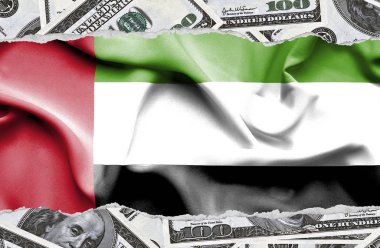 Ulusal çapta Amerikan para biriminin banknotlarıyla finansal konsept 