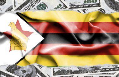 Ulusal çapta Amerikan para biriminin banknotlarıyla finansal konsept 