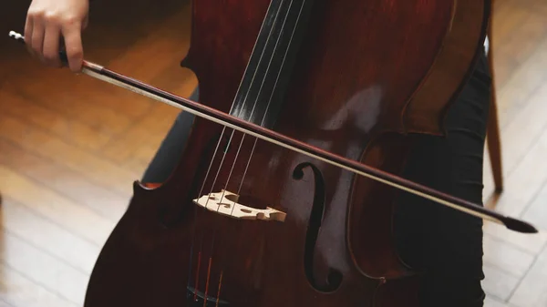 手拿弓的大提琴特写 — 图库照片