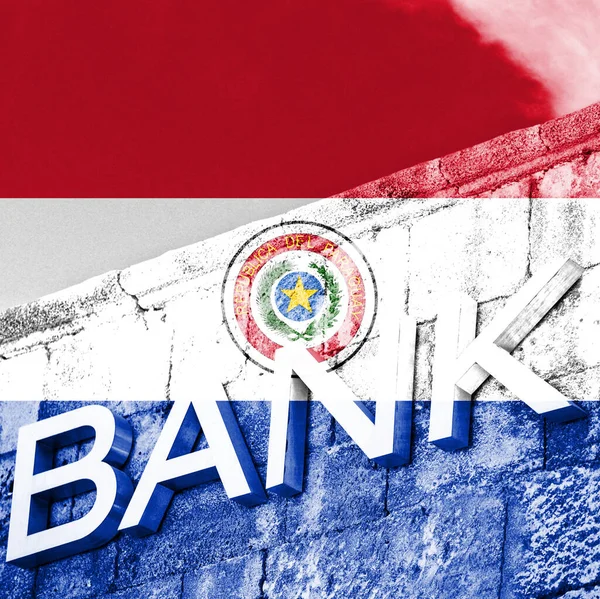 Finance Economy Concept Bank Flag Paraguay — Stock Photo, Image