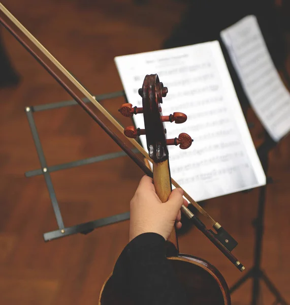 Primer Plano Violonchelo Con Arco Las Manos —  Fotos de Stock