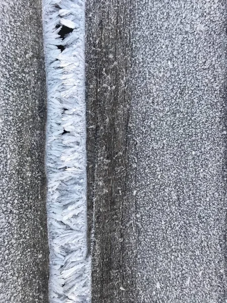 겨울에는 얼음으로 된 수직으로 늘어선 얼음으로 뒤덮인 나무 배경 — 스톡 사진