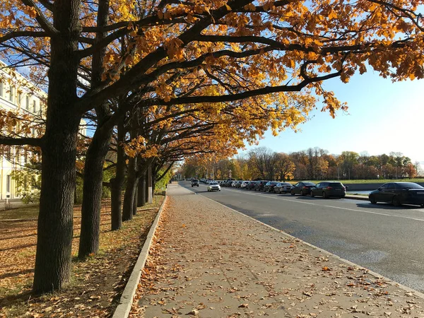 Calm autumn cityscape on sunny day. Alley of trees, sidewalk strewn with golden leaves and embankment with row of cars — 图库照片