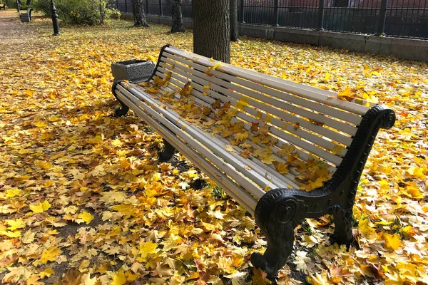 Paisagem de outono. Close-up de banco no parque entre árvores amarelas e tapete de folhas de bordo em dia ensolarado brilhante — Fotografia de Stock