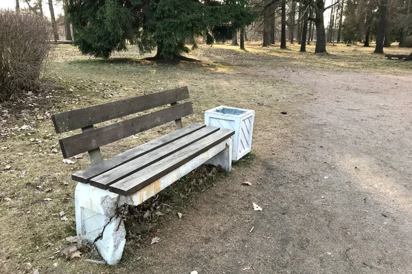 春の夜には木々の間の公園で古い壊れたベンチのクローズアップ。穏やかな、休息、平和、孤独の概念 ロイヤリティフリーのストック画像