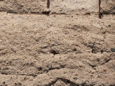 Antik sarı kum duvar doku