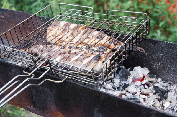 Fish to the barbecue — Stock Photo, Image