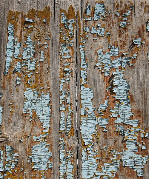 나무 배경 텍스처 오래 된 벽 나무 바닥 — 스톡 사진