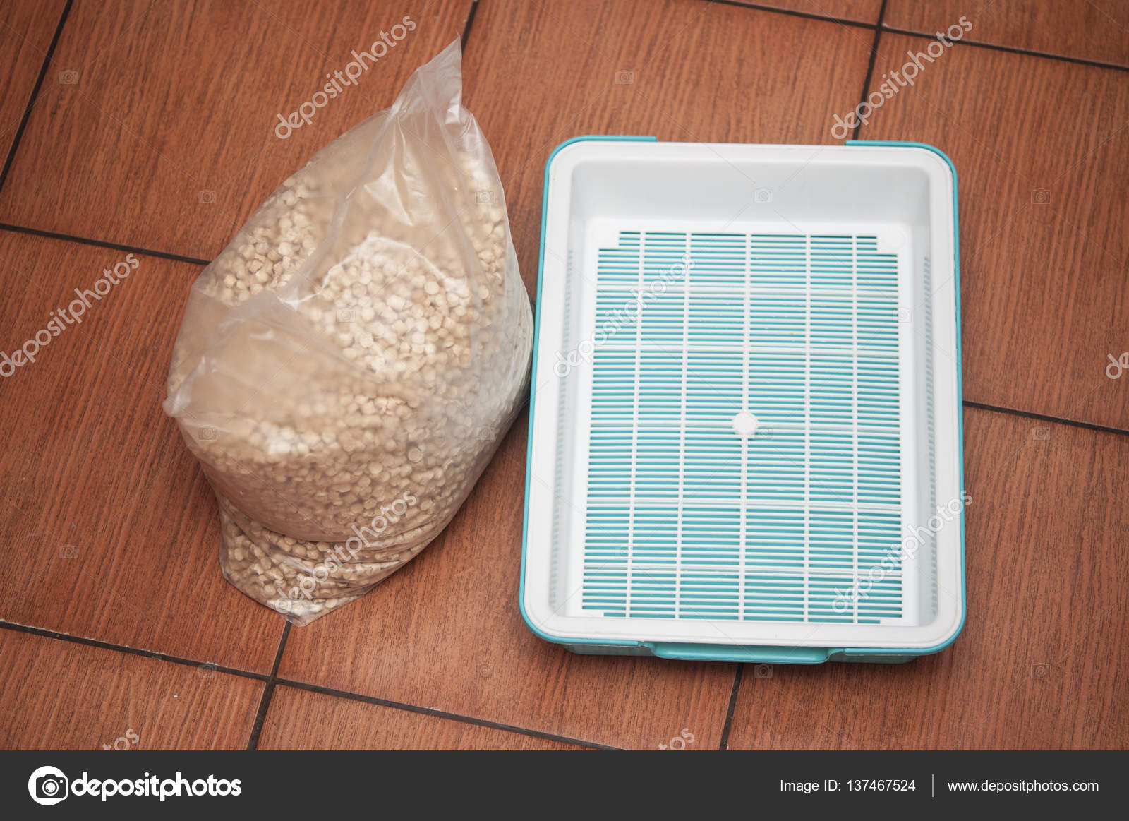 Pet litter box — Stock Photo © inxti74 137467524