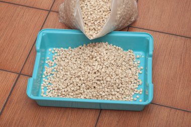 Evde beslenen hayvan kedi kumu