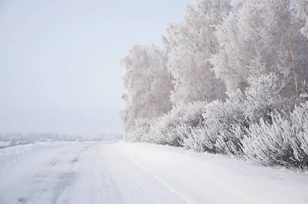 Zimní ruské lesní sněhová cesta — Stock fotografie