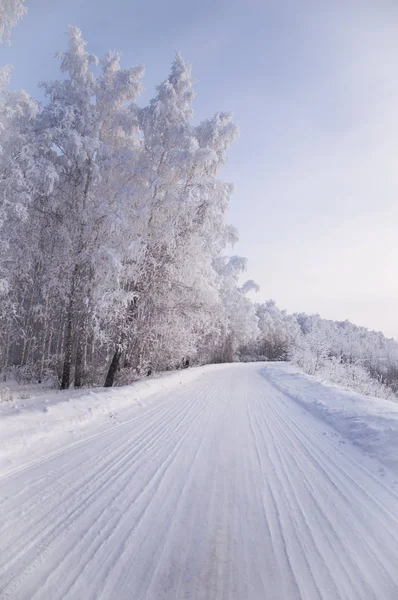 Iarna rusă pădure zăpadă drum — Fotografie, imagine de stoc