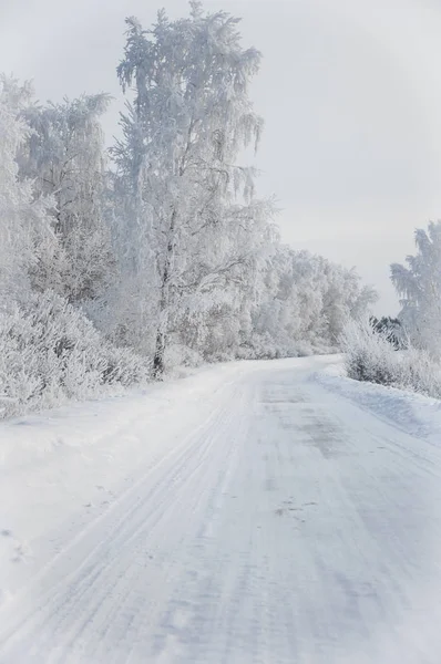 冬天俄罗斯森林雪路 — 图库照片