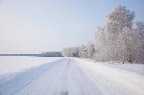 Winter russian forest snow road — Stock Photo, Image