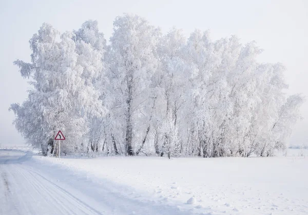 Inverno russo foresta neve strada — Foto Stock