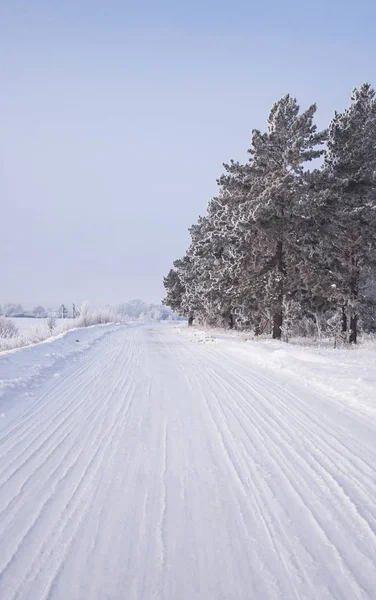 冬天俄罗斯森林雪路 — 图库照片