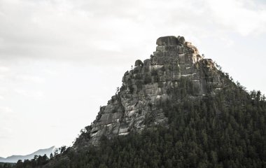Borovoe lake yakınlarında orman