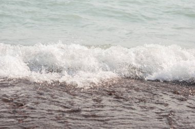 köpüklü Denizi kıyısında sahilde yakın çekim
