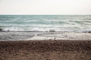 Bir çakıl taşı kumsalında el salla