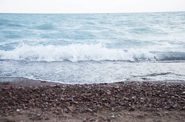 Bir çakıl taşı kumsalında el salla