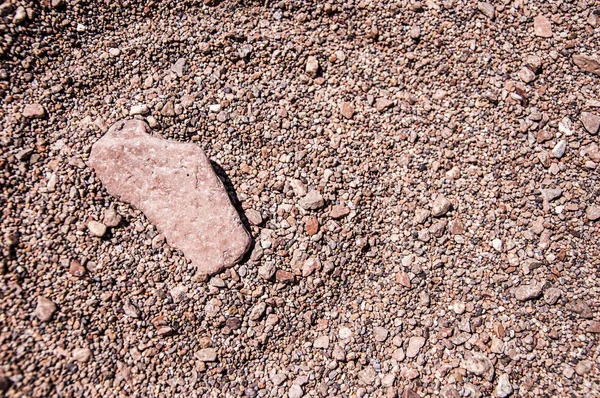 Grey river pebble background — Stock Photo, Image