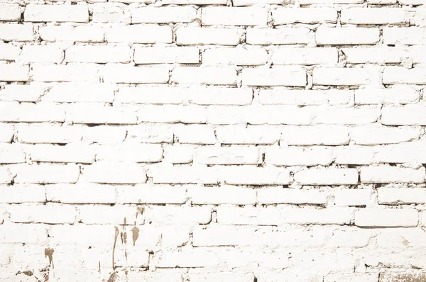 白いレンガ壁 — ストック写真