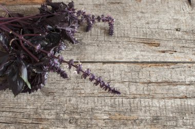 Ahşap arka planda taze fesleğen