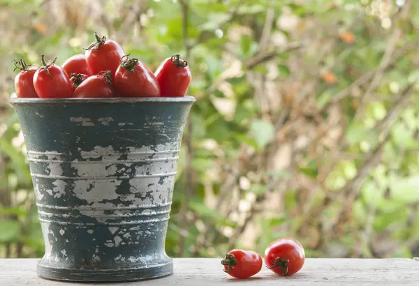 Свіжі вишневі помідори в металевому кухоль на столі на відкритому повітрі — стокове фото