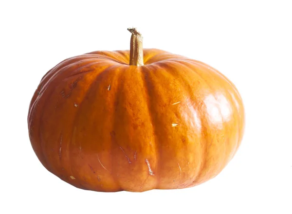 Pumpkin over white background — Stock Photo, Image