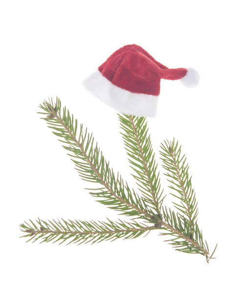 Papai Noel chapéu de Natal que coloca em ramos de abeto isolado o — Fotografia de Stock