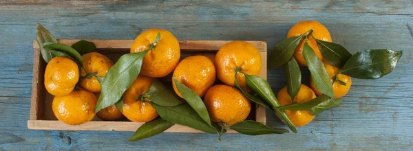 Frische Mandarinen in einer alten Schachtel mit Blättern — Stockfoto