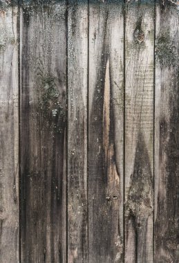 Arkaplan için tahta dokusu