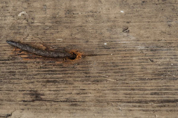 Rusty nail in wood
