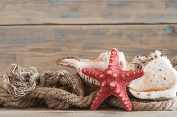 Objetos de mar - conchas, estrellas de mar sobre tablones de madera — Foto de Stock