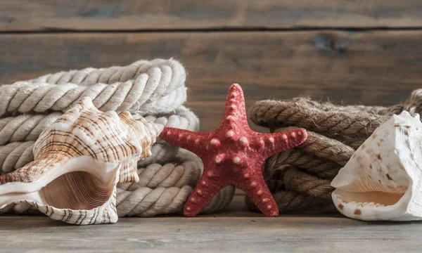 Objetos de mar - conchas, estrellas de mar sobre tablones de madera — Foto de Stock