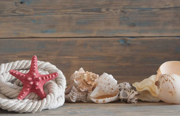 Objetos de mar - conchas, estrellas de mar sobre tablones de madera — Foto de Stock