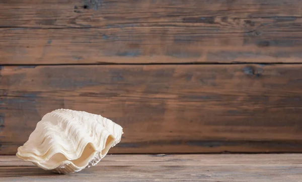 Muscheln auf rustikalem Holztisch — Stockfoto