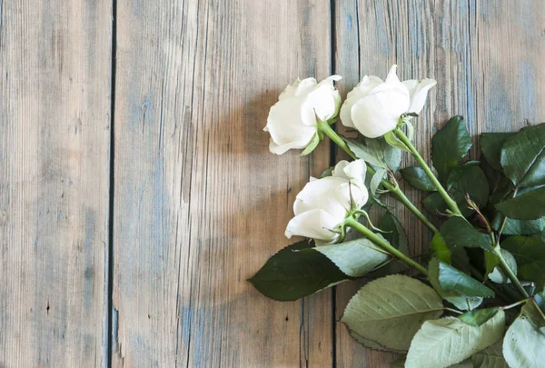 Białe róże na stary biały drewniany stół — Zdjęcie stockowe