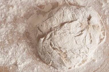 Masanın üzerinde hamur mayaları ham buğday un serpilir