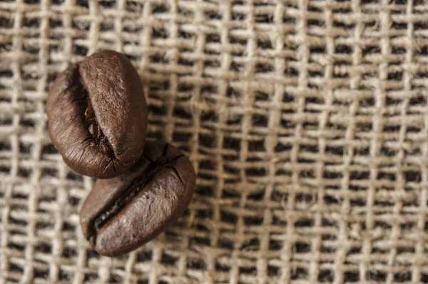 Rostade kaffebönor, kan användas som bakgrund — Stockfoto