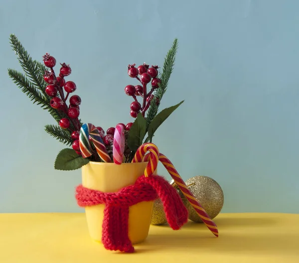 Bonbons de Noël cannes en tasse jaune avec des branches de houx baies — Photo