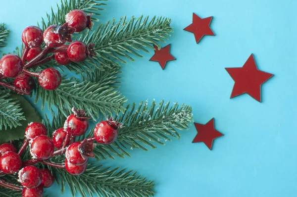 Ozdoby świąteczne: czerwone jagody na pastelowym niebieskim tle. Ch — Zdjęcie stockowe