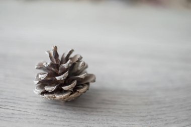 Ahşap bir masada çam kozalağı.