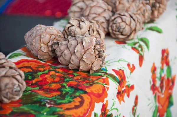 Cedar pine cones with nuts — Stock Photo, Image