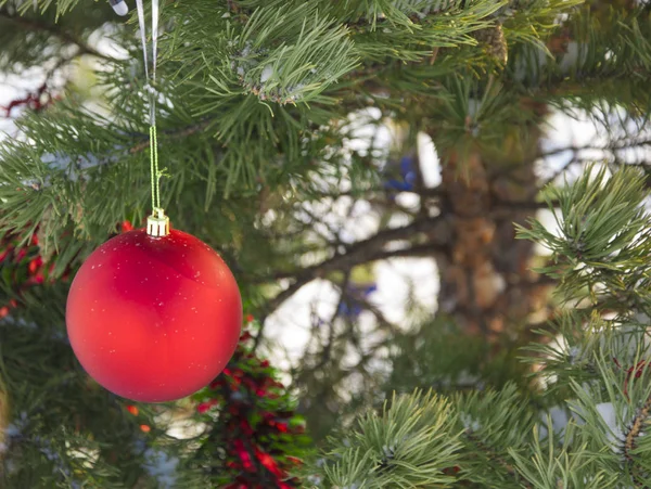 Christmas holiday background. Baubles hanging from a decorated o — Stock Photo, Image