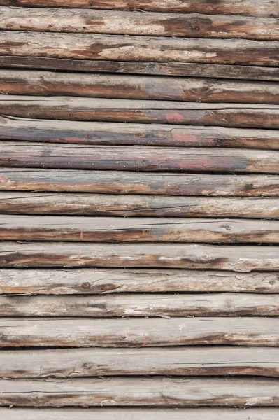 Texture of wood log pile background — Stock Photo, Image