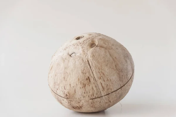 Čerstvý kokos v detailu s bílým pozadím — Stock fotografie