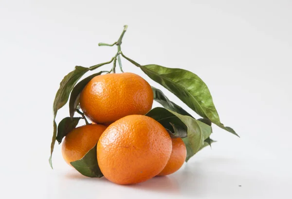 Mandarinen auf einem Zweig mit grünen Blättern — Stockfoto
