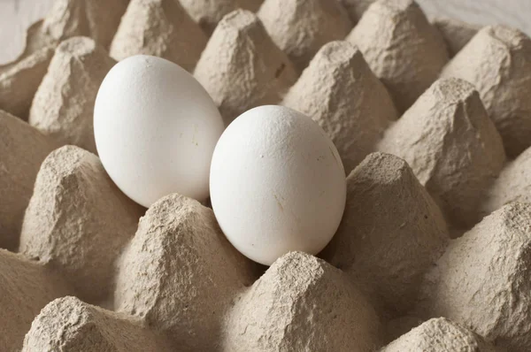 Bir çift beyaz yumurta.. — Stok fotoğraf